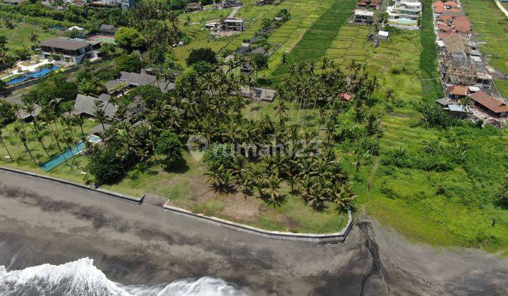 Prime Beachfront Land In Cemagi | A Developers Dream 2