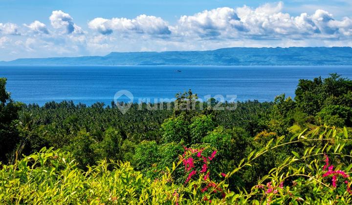 Dream Land Plots For Lease Ocean And Mountain Views