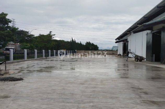 Dijual Cepat Pabrik  Lt. 1,2 Hektar At Deltamas Cikarang 5
