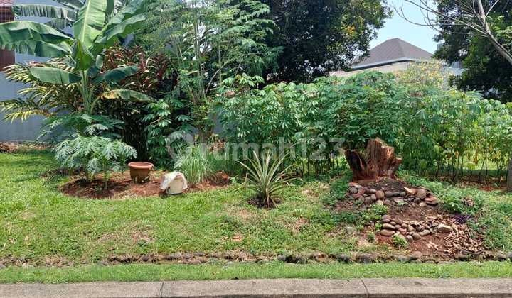 Tanah Kavling Posisi Hoek Siap Bangun di Telaga Golf Sawangan (YU) Tanah Kavling Posisi Hoek Siap Bangun di Telaga Golf Sawangan (YU)