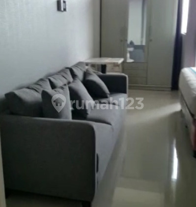 Apartment Paddington Height (Studio)