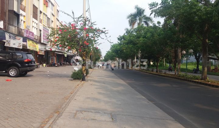 Ruko Palm Terrace (4x17m) 2