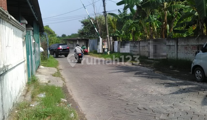 Rumah Citra 1 (Ukuran 6x14 m) 2