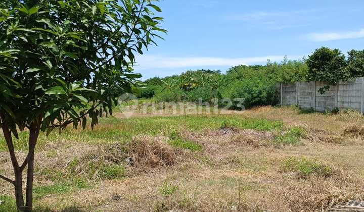 Kavling KBC Jl.Kamal Muara (Ukuran 6.170 m2)