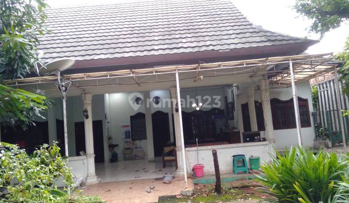 Rumah Asri Bangunan Kokoh Siap Huni Kebon Nanas Selatan 2