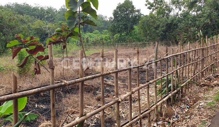 Tanah Desa Pagaden Gunungsari  Luas 6505m2 Subang 2