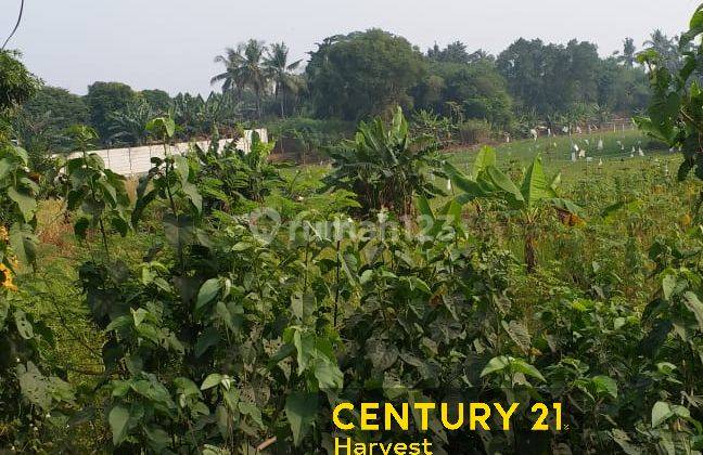 Tanah Strategis Siap Dibangun Di Cikarang Cibarusah 2