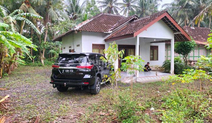 Dijual Cepat Tanah + Bangunan Siap Pakai Di Kulonprogo Jogja 4