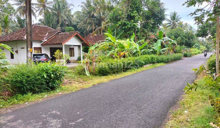 Dijual Cepat Tanah + Bangunan Siap Pakai Di Kulonprogo Jogja 5
