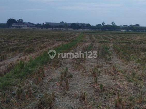 Tanah Strategis Siap Dibangun Di Rengasdengklok Karawang 2