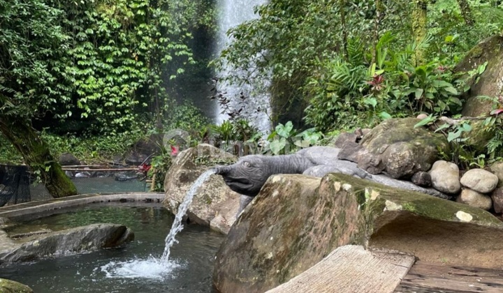 Tanah Dengan Air Terjun Dan Mata Air Tanah Dengan Air Terjun Dan Mata Air