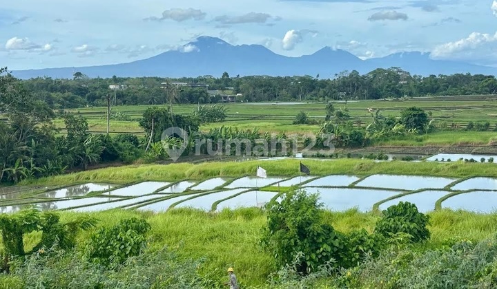 Tanah Dekat Pantai Cemagi View Sawah Dan Gunung Tanah Dekat Pantai Cemagi View Sawah Dan Gunung