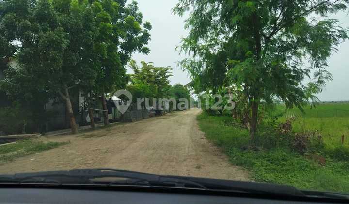 JUAL TANAH SAWAH UNTUK PERUMAHAN DI KARAWANG TIMUR

 2