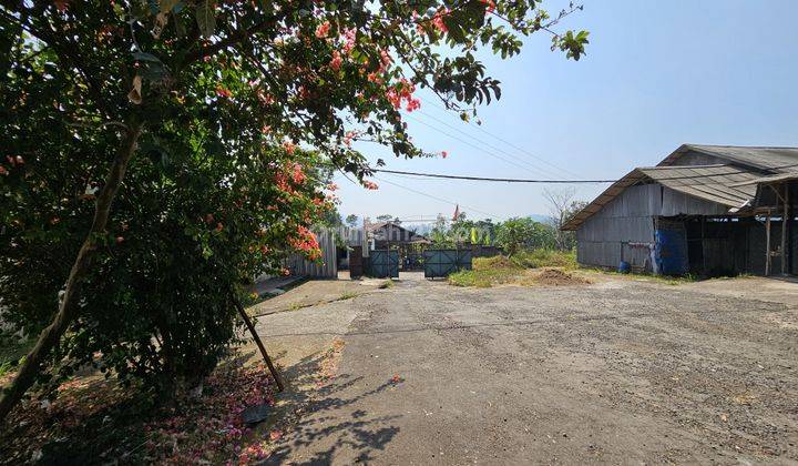 Peternakan ayam di Cianjur SHM dijual lengkap 120 kandang 2