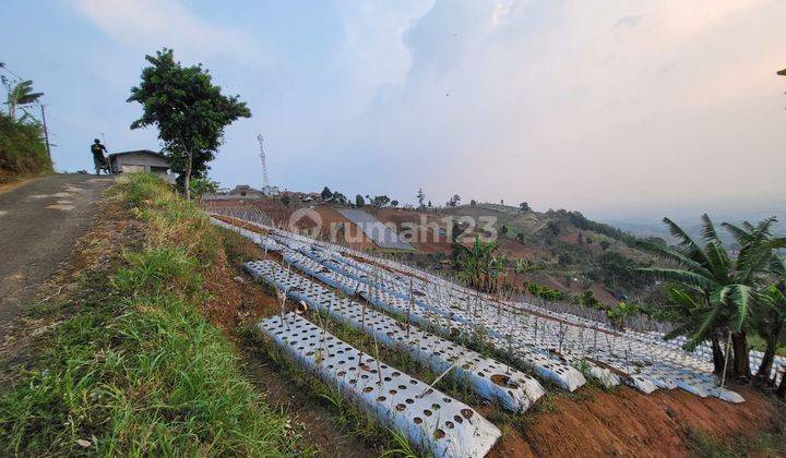 Tanah Murah Perbukitan Di Area Dago Ketinggian 1200 Mdpl 1