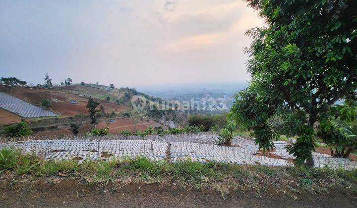 Tanah Murah Perbukitan Di Area Dago Ketinggian 1200 Mdpl 2