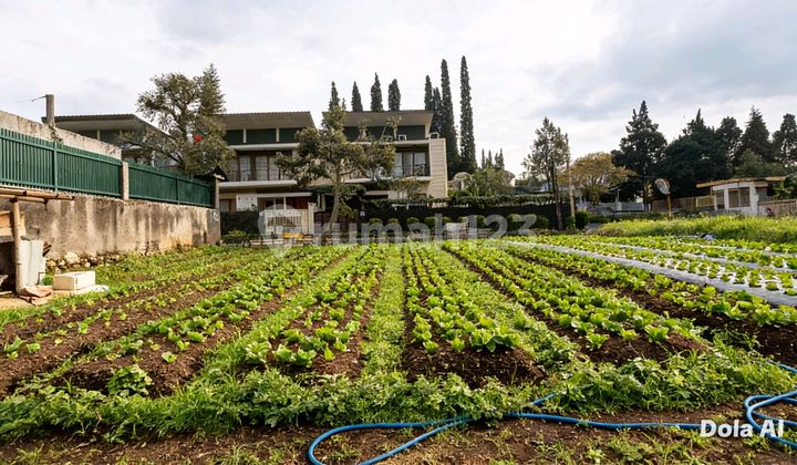 Dijual Kavling Siap Bangun di Setiabudi Bandung Dekat Lembang
