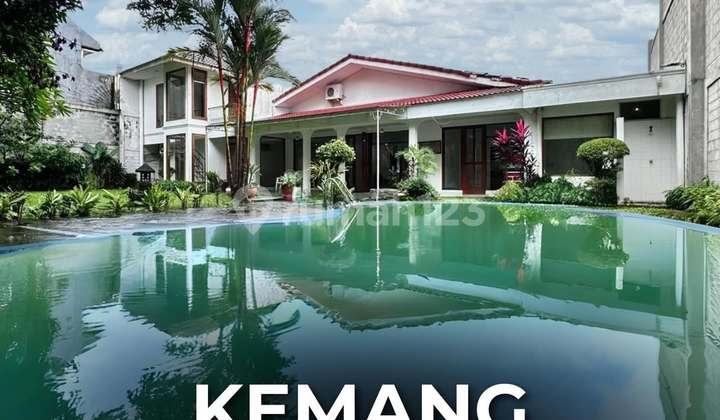 Rumah Mewah 1 Lantai Siap Huni di Kemang, LT 1146 LB 600