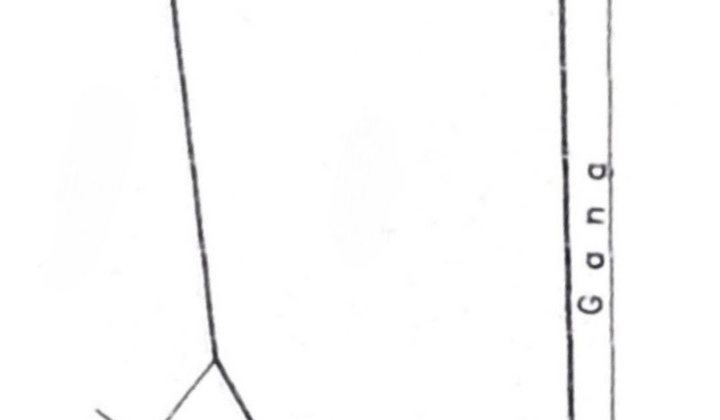 Lahan Bebas Banjir di Kemang, LT 623