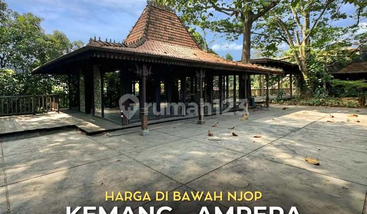 Rumah Kayu 1 Lantai Cocok untuk Cluster di Kemang, LT 5555 LB 716 Rumah Kayu 1 Lantai Cocok untuk Cluster di Kemang, LT 5555 LB 716