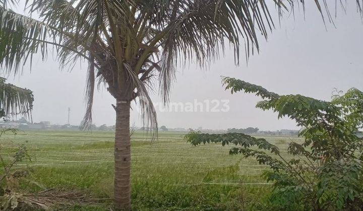 DIJUAL LAHAN TANAH COCOK UTK INVESTASI DI SGALA BIDANG HARGA NEGOTABLE DI AREA SETIA ASIH BEKASI 1