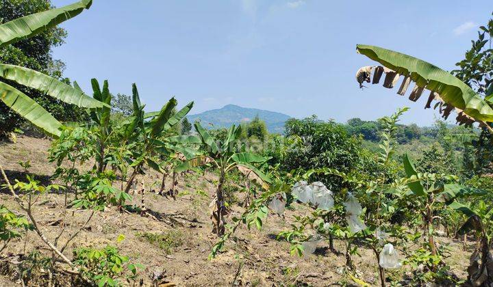 Dijual Tanah Di Bogor Lokasi Asri Bagus Untuk Usaha Peternakan 2