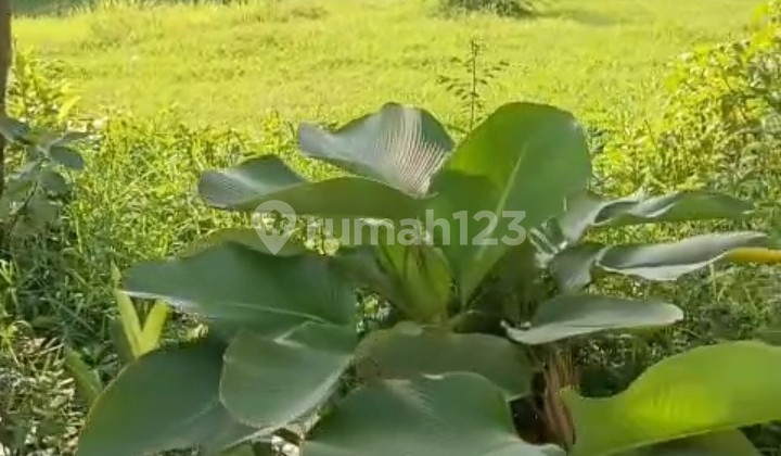 Kavling M.saidi Raya Petukangan Selatan Dekat Tol Jorr Bandara