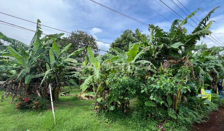 Tanah Kalijati, Subang 3500 m2