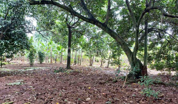 Tanah SIAP BANGUN !!! di Jatiwarna Bekasi, Lahan Ngantong, Nol Jalan Desa 1