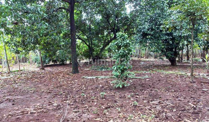 Tanah SIAP BANGUN !!! di Jatiwarna Bekasi, Lahan Ngantong, Nol Jalan Desa 2