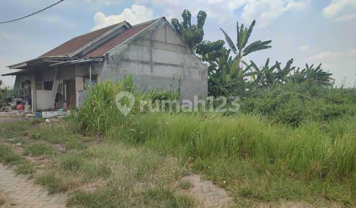 Domas Tahap 4 Kavling Siap Bangun Hanya 500 Meter Dari Raya Bringkang Domas Tahap 4 Kavling Siap Bangun Hanya 500 Meter Dari Raya Bringkang