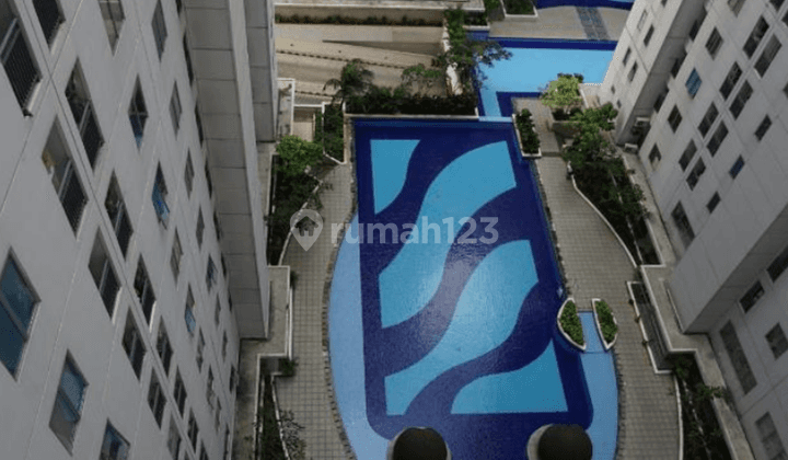 Bassura City 3 Kamar Double View Pool Geranium  1