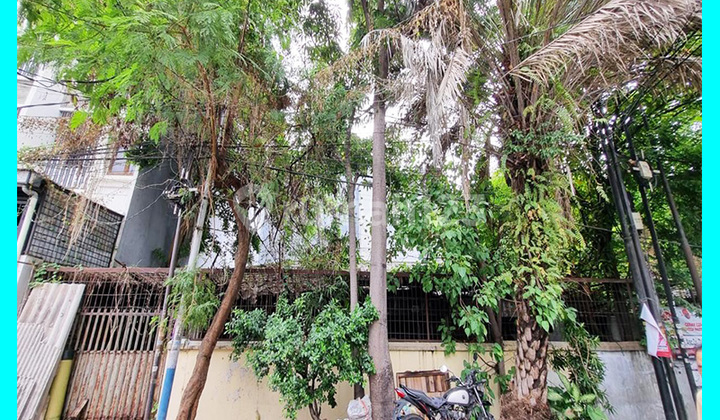 Chandra Rumah lama luas tanah 208m2 di jelambar