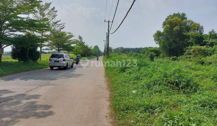 Kavling tanah pinggir jalan raya desa  Tiga raksa. Tangerang Banten 2