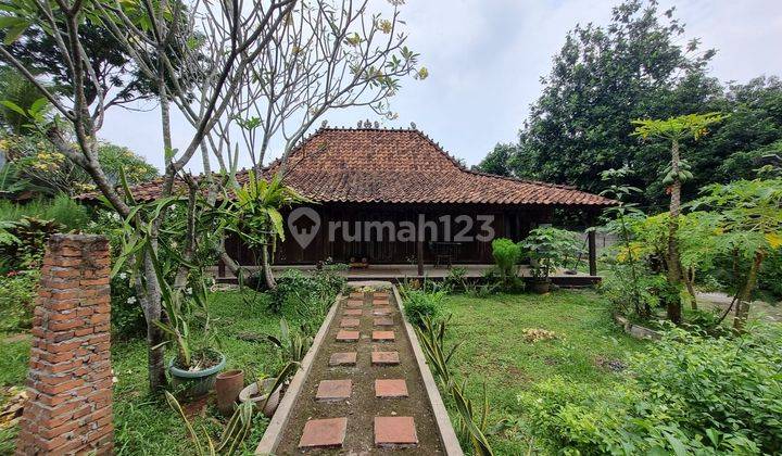 Kavling pinggit jalan dekat BSD City ada rumah pondokan dari kayu 1