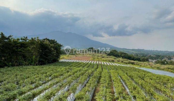 Dijual Lahan di Cidahu Tonggoh Sukabumi Jawa Barat 1