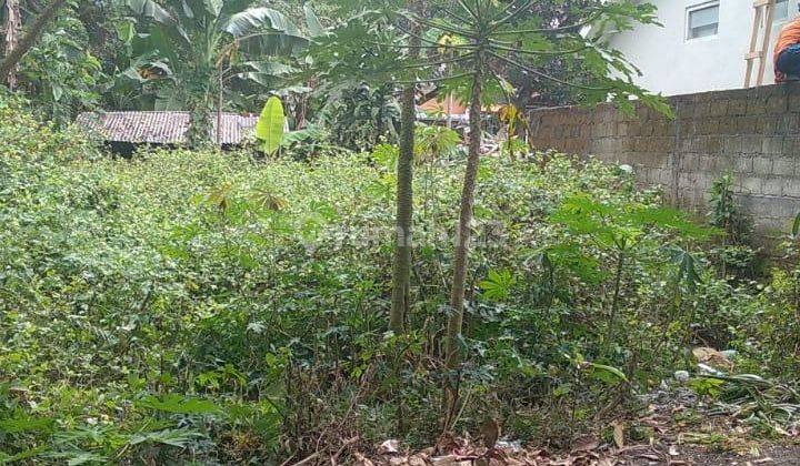 Tanah Pekarangan Utara SMA N2 Ngaglik 3