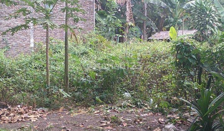 Tanah Pekarangan Utara SMA N2 Ngaglik 5