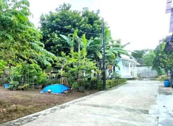 Rumah Cantik Mewah dengan kolam renang, Condong Catur 4