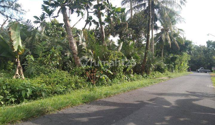 Tanah pekarangan jalan raya turi Tempel 2