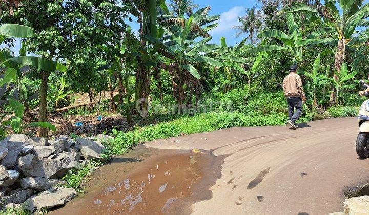 Dijual tanah di Ciseeng bogor 6000m2 SHM lokasi sangat bagus  2