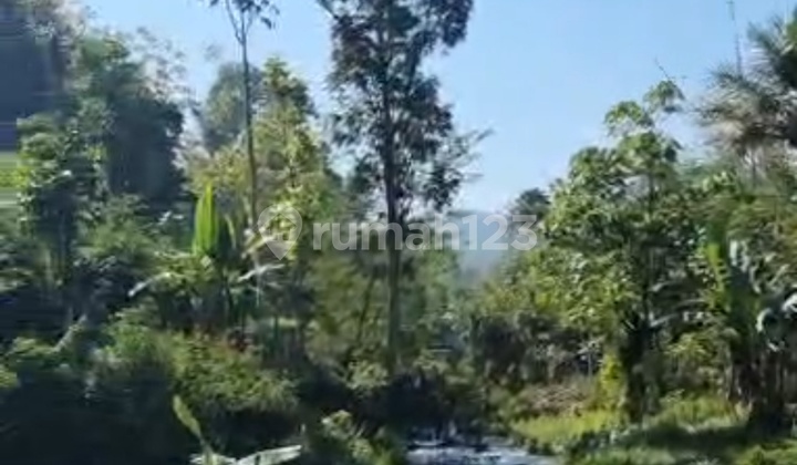 Dijual Lahan Subur Diciwidey 1.2 ha SHM Dijual Lahan Subur Diciwidey 1.2 ha SHM