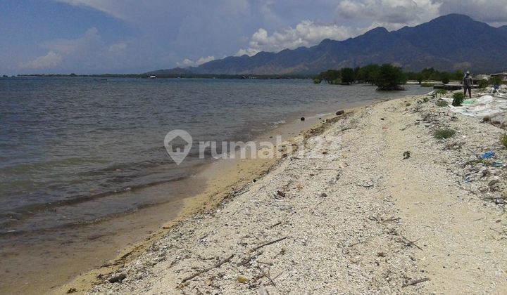 For Sale Land West of Los Pantai Pasir Putih Temurah in Bali* For Sale Land West of Los Pantai Pasir Putih Temurah in Bali*