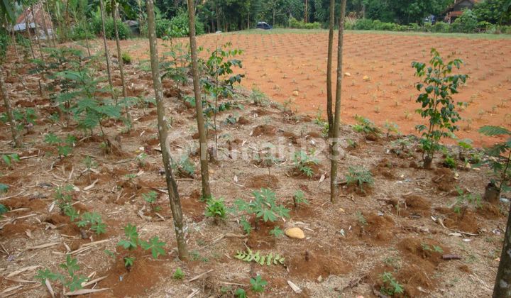 Dijual Tanah Di Bogor Barat Lebak Salak 3000.0 m² Dijual Tanah Di Bogor Barat Lebak Salak 3000.0 m²