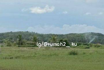 Dijual Nego Tanah  Disukabumi 15,6 Ha, Shm 1