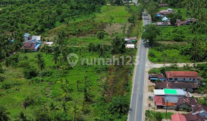 Land by the Roadside in Wajok, Mempawah Regency Land by the Roadside in Wajok, Mempawah Regency