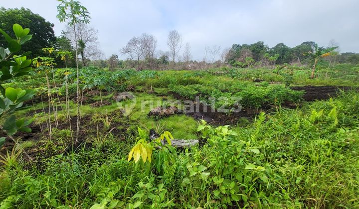 Land for Sale in Parit Derabak Street Area, Pontianak Land for Sale in Parit Derabak Street Area, Pontianak
