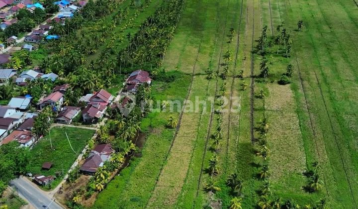Tanah Tepi Jalan Jungkat Sampai Tepi Laut 2