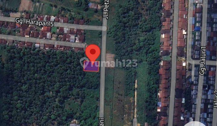 Tanah Jual Tepi Jalan Petani Kota Pontianak  2