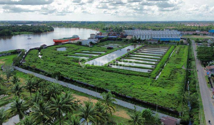 Tanah Tepi Jalan Sampai Tepi Sungai Kapuas 1